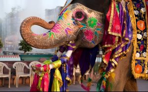 whatsapp image 2026 01 25 at 12,40,04 pm (1) picsart aiimageenhancer