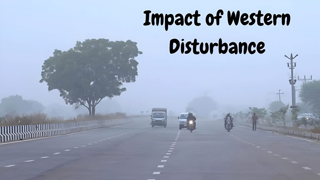 whatsapp image 2026 01 25 at 5,27,44 pm picsart aiimageenhancer